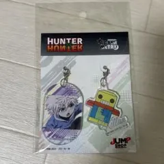 ハンターハンター アクリメトリー キルア Vol.4