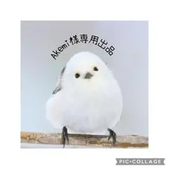 Akemi様専用出品