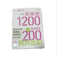 Item thumbnail for item 9185e613-6cc9-446a-b2d3-e62caa2f7d64