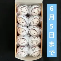 文豪ストレイドッグス もちもちマスコット ゴーゴリ 10点セット - メルカリ