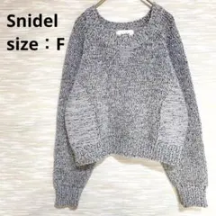 スナイデル ショート丈ニット クルーネック プルオーバー グレー ブラック F