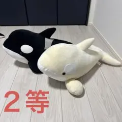 2026年最新】名古屋港水族館 シャチくじの人気アイテム - メルカリ