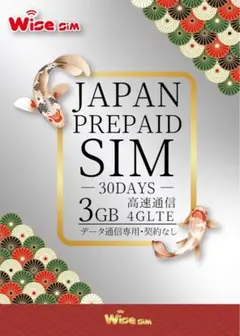 日本国内用プリペイドSIM データ容量3GB 利用期間30日