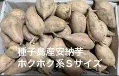 種子島産安納芋紅Sサイズ5.2kg