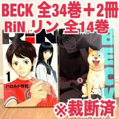 裁断済 BECK ベック 全巻 34 RiN リン rin 14 裁断済み