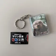 Item thumbnail for item 828a17c4-43d5-4591-9c75-993668b5e6e7