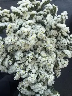 けごちゃん様 リクエスト 2点 まとめ商品