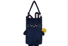 RIIZE ペンライト ウォンビン トニャンドク ファンライトバッグ 東京
