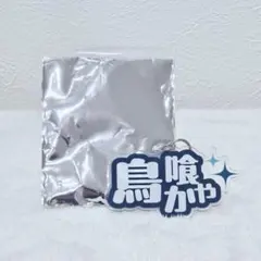 도쿄 여자 프로 레슬링 랜덤 네임 키 체인 토리코 카야