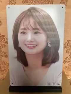 フジテレビアナウンサー 井上清華 ブリキ・プレート 送料込