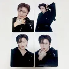 &TEAM アジアツアー フーディトレカ FUMA フウマ 4枚セット