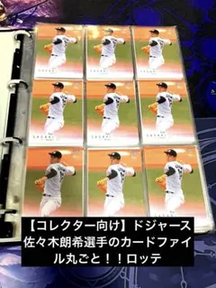 Item thumbnail for item 9fffed3a-b99c-4720-a073-f5802ad77a4a