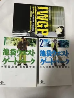 IWGP 電子の星