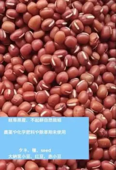 Retreat Farm様 リクエスト 2点 まとめ商品