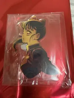 【鬼滅の刃】無限城編第一章/しのぶ/カナヲ