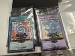 遊戯王日本選手権2025年 プロモ2枚セット - メルカリ