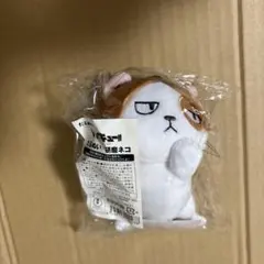 だるぬい　ハイキュー　研磨ネコ　 孤爪研磨　猫