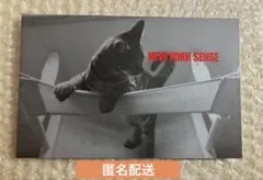 BANANA FISH バナナフィッシュ 写真集 NEW YORK SENSE