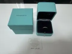 Item thumbnail for item 66323f1c-dab5-4d34-b597-d66f285bd7df