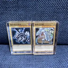 LION@プロフご確認ください様 リクエスト 2点 まとめ商品