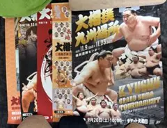 大相撲 九州場所 福岡国際センター 非売品 ポスター 5種