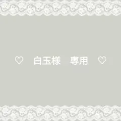 白玉様専用　おすわりぬい服２点　ねこ耳　ピンク＆ブルー