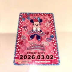 リゾラ フリーきっぷ ミニーのファンダーランド　ミニーの日 即日発送！