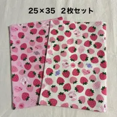 ランチョンマット 20×30 ランチクロス 給食ナフキン いちご柄 2枚