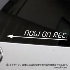 Item thumbnail for item 0e24c7da-1b79-45b5-a8c1-7693c6bdcf37