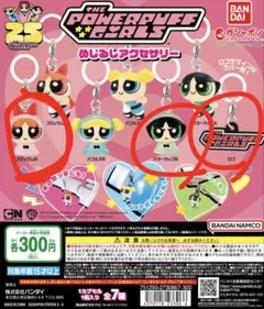パワーパフガールズ めじるしアクセサリー