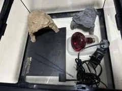 よ*ー様 未使用 アポロ Z-1500 ONE 電気柵 セット 害獣 動物避け