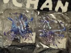 パラライ 矢戸乃上珂波汰 那由汰 cozmez