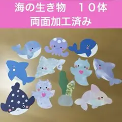 壁面飾り　海の生き物　両面加工済み③のサムネイル