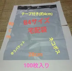 Item thumbnail for item 2fc17072-b8f5-479d-8e6b-f46eae86d413