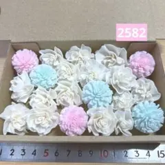 ソラフラワー　2582
