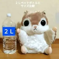エゾモモンガ ぬいぐるみ　モモンガなんだモン　　ももぴん　AMUSE