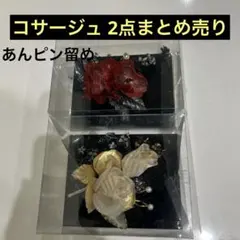 Item thumbnail for item 5ad1bc98-35c7-43f0-800b-10e626549824