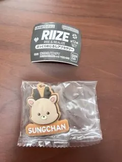 2026年最新】riize ソンチャン キーホルダーの人気アイテム - メルカリ
