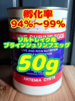 2026年最新】ブラインシュリンプの人気アイテム - メルカリ