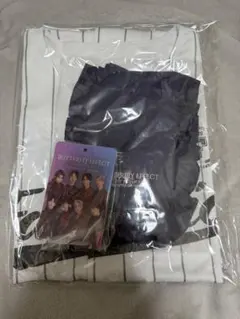【新品】FANTASTICS アプグレ グッズ