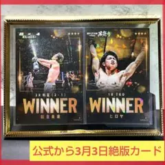 RIZIN ラジャブアリ・シェイドゥラエフ 直筆サイン色紙 朝倉未来