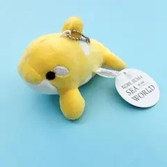 神戸須磨シーワールド シャチ ショコラデュオ ストロベリーチョコ