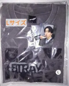 StrayKids RUN IT ツアー Tシャツ スキズ　特典トレカ ハン
