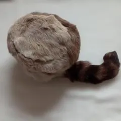 Item thumbnail for item a577453c-5e55-4c54-be32-f33450032a8b