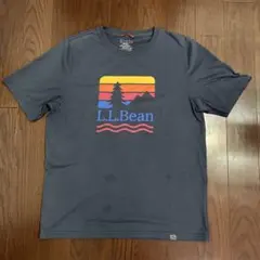 A*S様 L,L,Bean Tシャツ 紺色系　サイズM