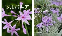 sako様 リクエスト 3点 まとめ商品