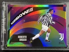 ロベルト バッジョ Rainbow Flick