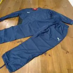 Puma ピステ 上下セット　子供用 サイズ150