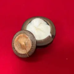 中国美術 香合 陶器 茶道具 底款 【孟臣】 - メルカリ