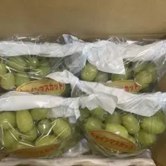 かなぞう様専用